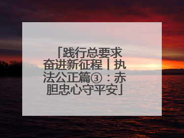 践行总要求 奋进新征程丨执法公正篇③：赤胆忠心守平安