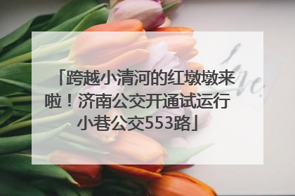 跨越小清河的红墩墩来啦！济南公交开通试运行小巷公交553路