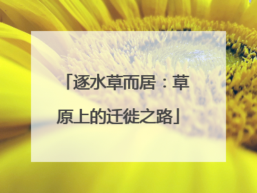逐水草而居：草原上的迁徙之路