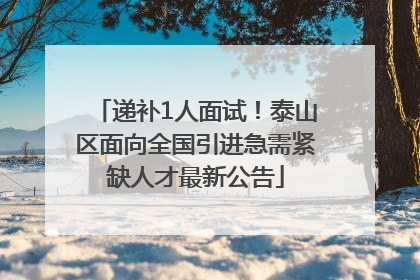 递补1人面试！泰山区面向全国引进急需紧缺人才最新公告