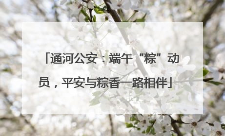 通河公安：端午“粽”动员，平安与粽香一路相伴