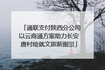 通联支付陕西分公司以云商通方案助力长安唐村绘就文旅新图景