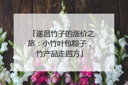 遂昌竹子的涨价之旅：小竹叶包粽子，竹产品走四方