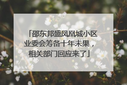 邵东邦盛凤凰城小区业委会筹备十年未果，相关部门回应来了