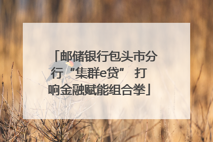 邮储银行包头市分行“集群e贷” 打响金融赋能组合拳