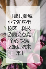 郏县新城小学迎宾街校区：科技游园会点亮童心 探索之旅启航未来