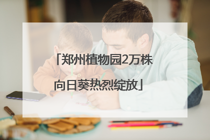 郑州植物园2万株向日葵热烈绽放