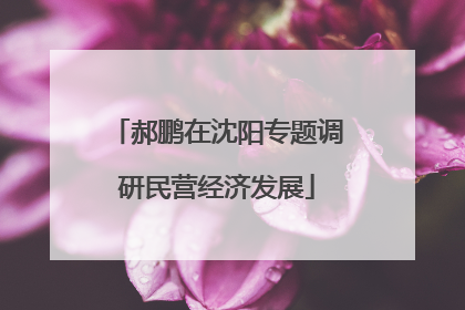 郝鹏在沈阳专题调研民营经济发展