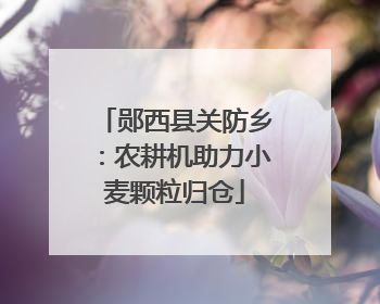 郧西县关防乡：农耕机助力小麦颗粒归仓
