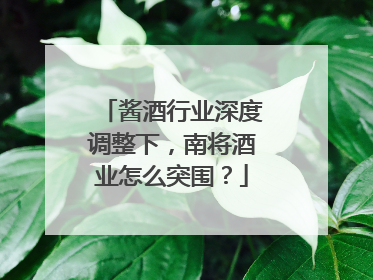 酱酒行业深度调整下，南将酒业怎么突围？
