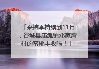 采摘季持续到11月，谷城县庙滩镇邓家湾村的蜜桃丰收啦！