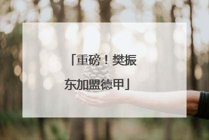 重磅！樊振东加盟德甲