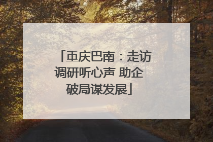 重庆巴南：走访调研听心声 助企破局谋发展