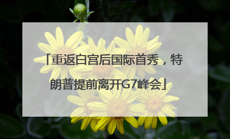 重返白宫后国际首秀，特朗普提前离开G7峰会