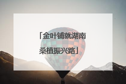 金叶铺就湖南桑植振兴路