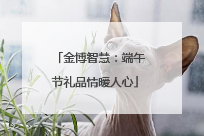 金博智慧：端午节礼品情暖人心