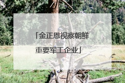 金正恩视察朝鲜重要军工企业