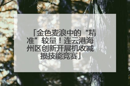 金色麦浪中的“精准”较量！连云港海州区创新开展机收减损技能竞赛