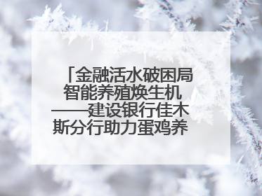 金融活水破困局 智能养殖焕生机——建设银行佳木斯分行助力蛋鸡养殖突围