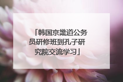 韩国京畿道公务员研修班到孔子研究院交流学习
