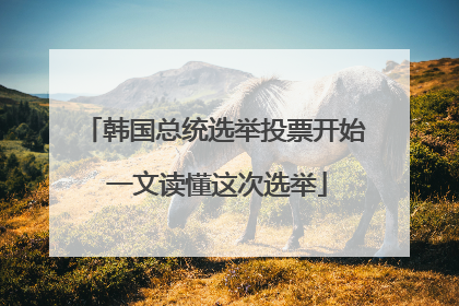 韩国总统选举投票开始 一文读懂这次选举