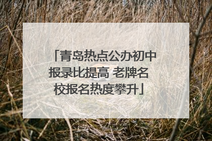 青岛热点公办初中报录比提高 老牌名校报名热度攀升