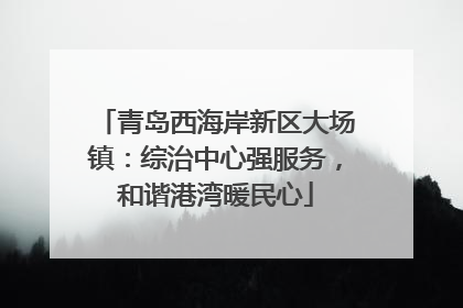 青岛西海岸新区大场镇：综治中心强服务，和谐港湾暖民心