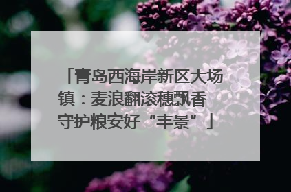 青岛西海岸新区大场镇：麦浪翻滚穗飘香 守护粮安好“丰景”