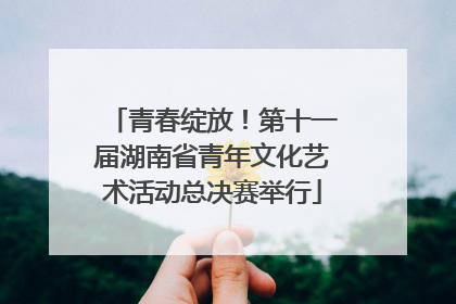 青春绽放！第十一届湖南省青年文化艺术活动总决赛举行