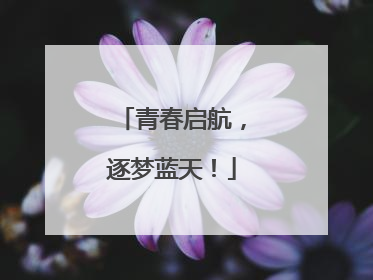 青春启航，逐梦蓝天！