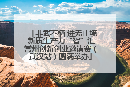非武不栖 进无止境 新质生产力“智”汇常州创新创业邀请赛（武汉站）圆满举办