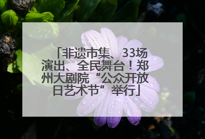 非遗市集、33场演出、全民舞台！郑州大剧院“公众开放日艺术节”举行