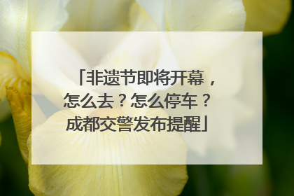 非遗节即将开幕，怎么去？怎么停车？成都交警发布提醒