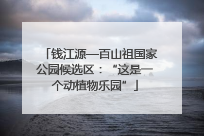 钱江源—百山祖国家公园候选区：“这是一个动植物乐园”
