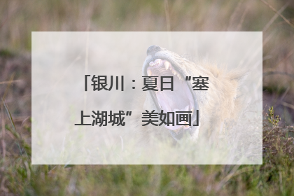 银川：夏日“塞上湖城”美如画