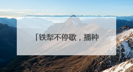 铁犁不停歇，播种新希望——山东“三夏”抢收抢种忙