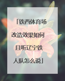 铁西体育场改造效果如何 且听辽宁铁人队怎么说