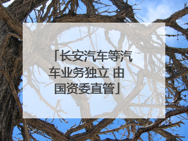 长安汽车等汽车业务独立 由国资委直管