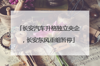 长安汽车升格独立央企，长安东风重组暂停