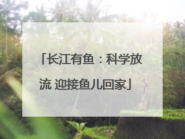 长江有鱼：科学放流 迎接鱼儿回家