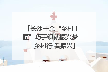 长沙千余“乡村工匠”巧手织就振兴梦｜乡村行·看振兴
