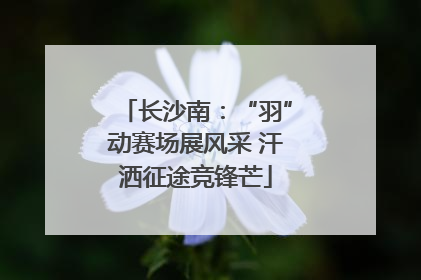 长沙南：“羽”动赛场展风采 汗洒征途竞锋芒