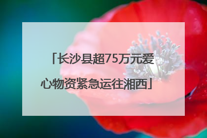 长沙县超75万元爱心物资紧急运往湘西