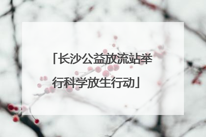 长沙公益放流站举行科学放生行动