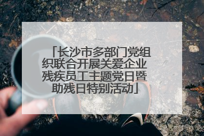 长沙市多部门党组织联合开展关爱企业残疾员工主题党日暨助残日特别活动