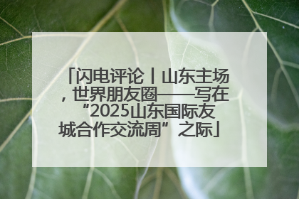 闪电评论丨山东主场，世界朋友圈——写在“2025山东国际友城合作交流周”之际