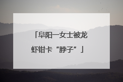 阜阳一女士被龙虾钳卡“脖子”