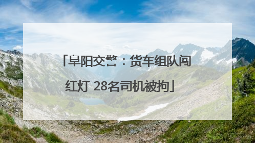 阜阳交警：货车组队闯红灯 28名司机被拘