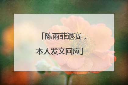 陈雨菲退赛，本人发文回应