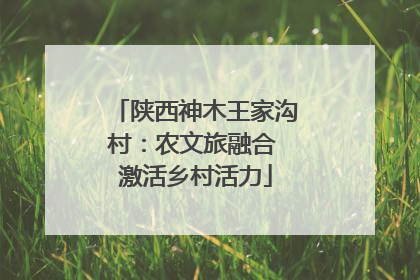 陕西神木王家沟村：农文旅融合 激活乡村活力